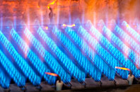 Pawlett gas fired boilers